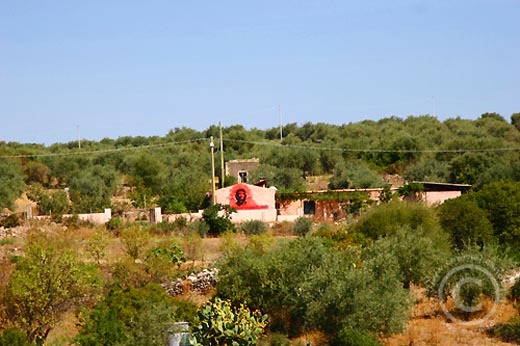 La mia Sardegna (18)