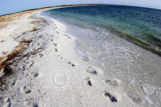 La mia Sardegna (34)