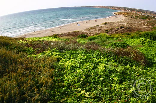 La mia Sardegna (37)