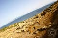 La mia Sardegna (31)