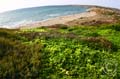 La mia Sardegna (37)