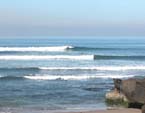 wellmansurf